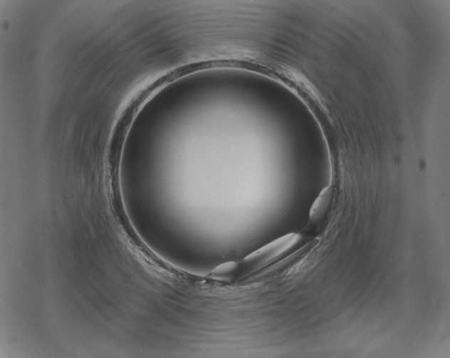 X0000070181072200606021027