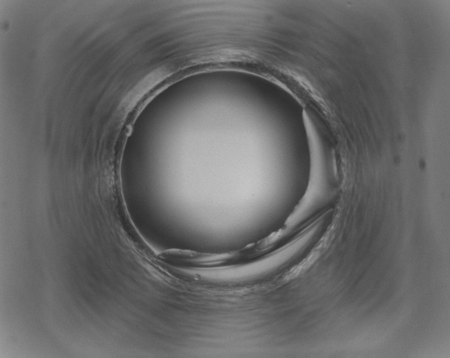 X0000070181073200606021026