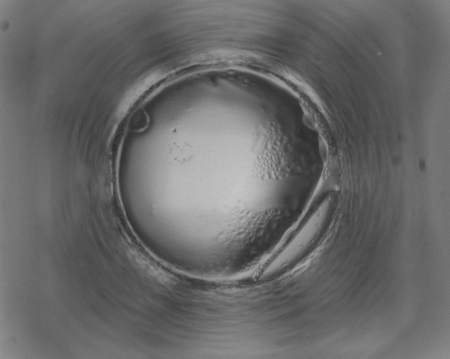 X0000070181075200606021026