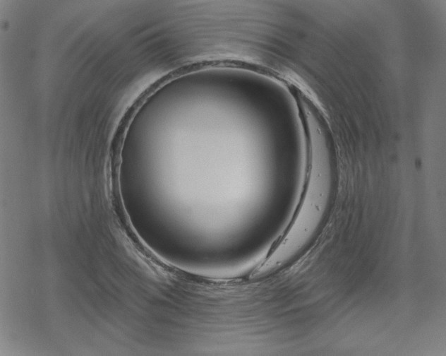 X0000070181076200606021026