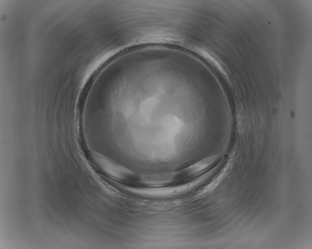 X0000070181077200606021026