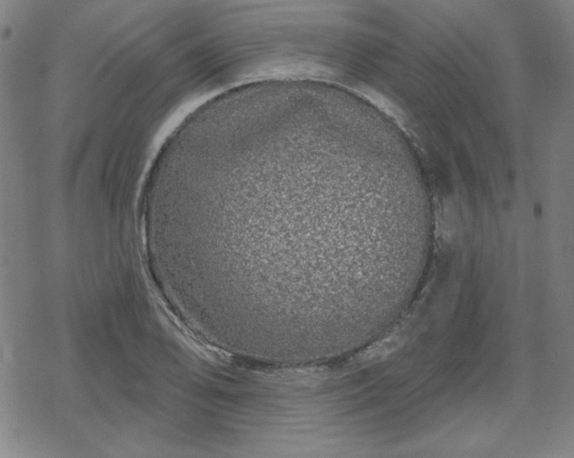 X0000070181078200606021026