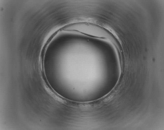 X0000070181080200606021026