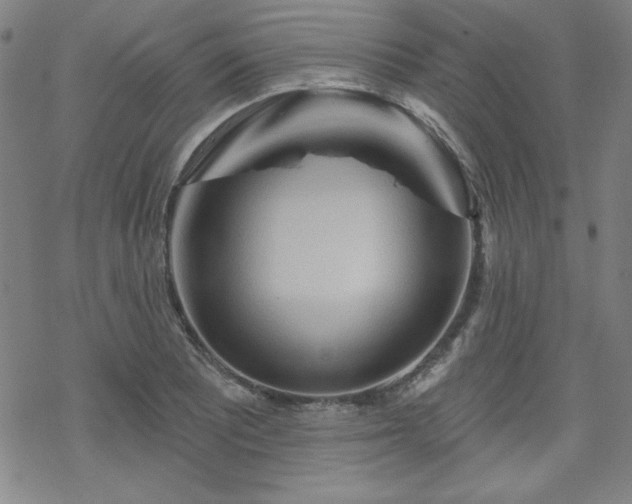 X0000070181081200606021026