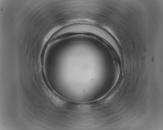 X0000070181082200606021026