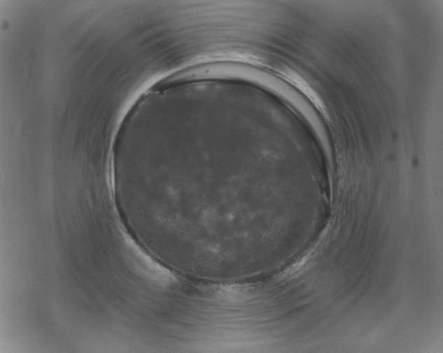 X0000070181084200606021026