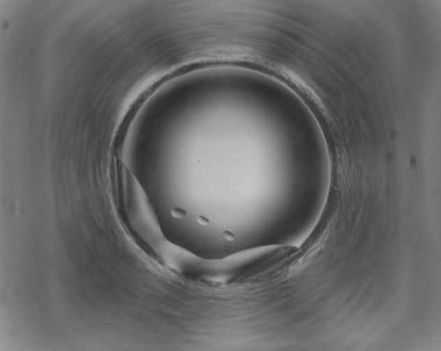 X0000070181085200606021026