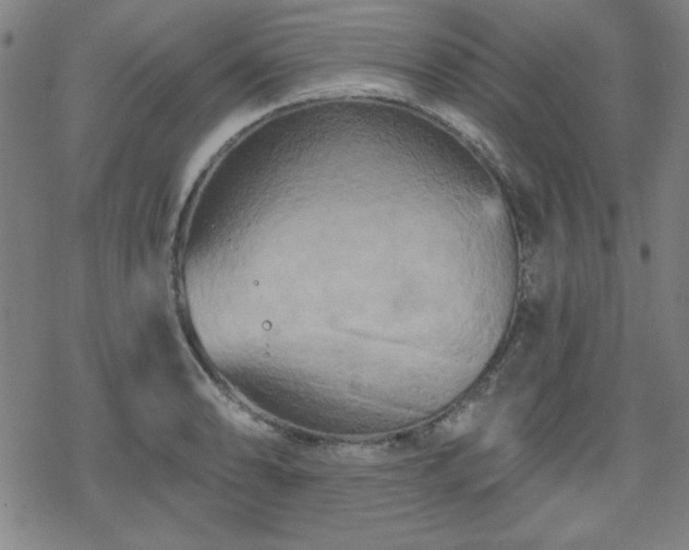 X0000070181086200606021026