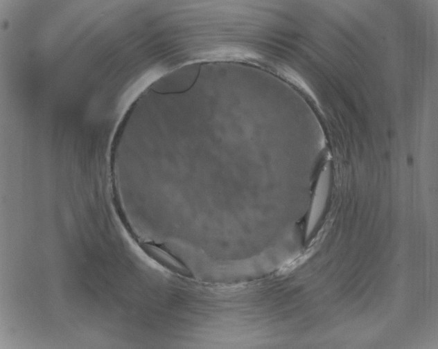 X0000070181087200606021026