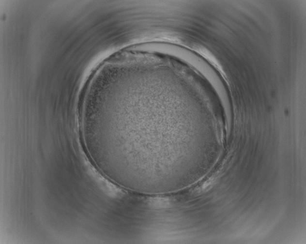 X0000070181088200606021026