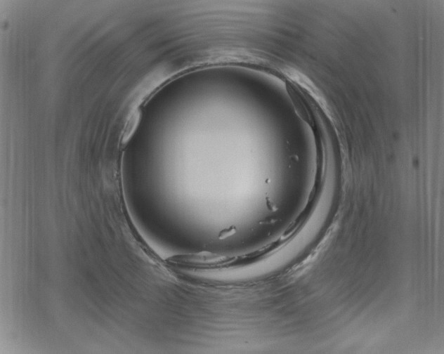 X0000070181089200606021026