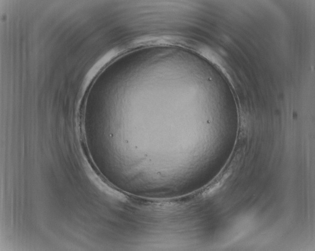 X0000070181090200606021026