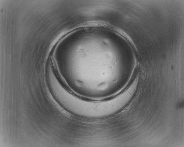 X0000070181091200606021026