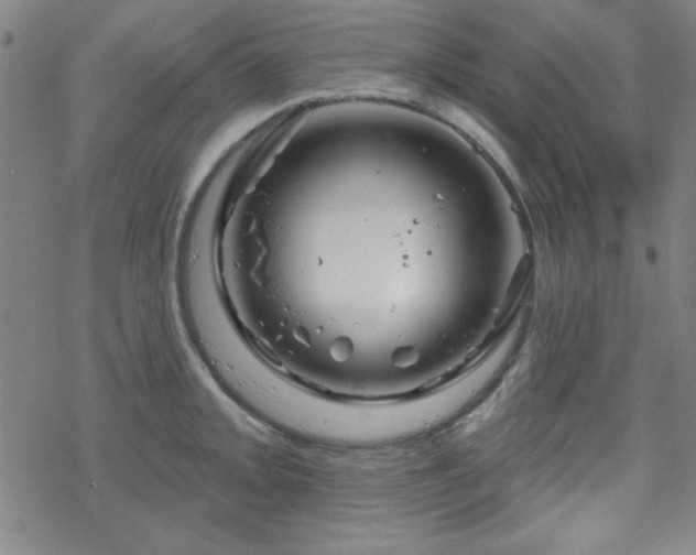 X0000070181093200606021026