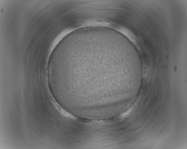 X0000070181094200606021026