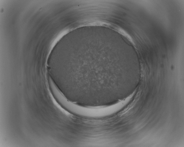 X0000070181095200606021026