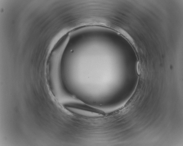 X0000070181096200606021026