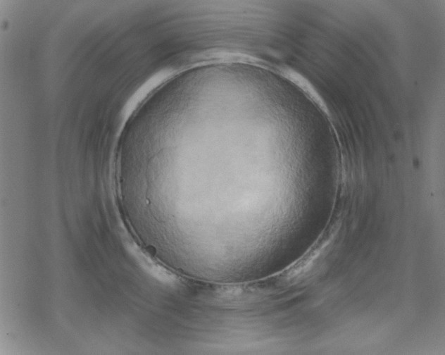 X0000070181098200606021026