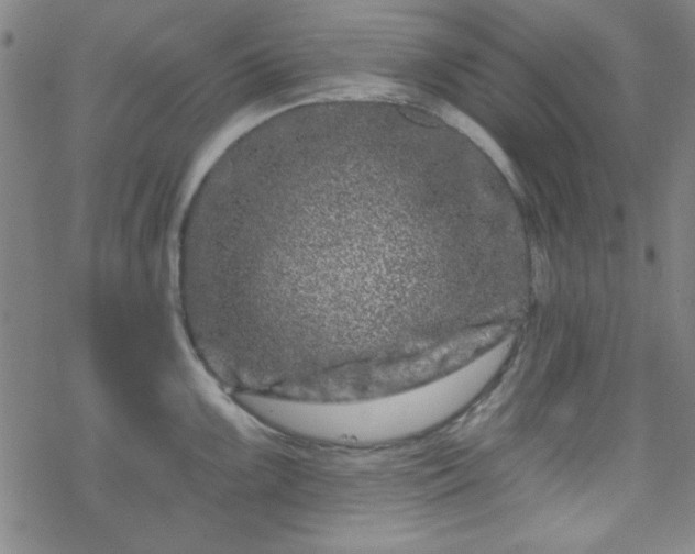 X0000070181099200606021026