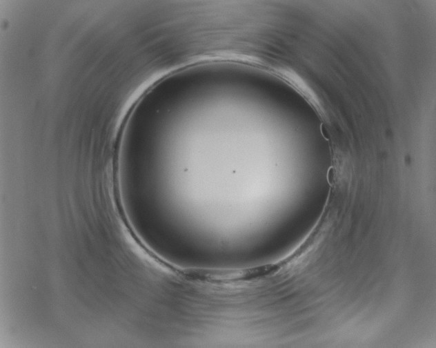 X0000070181100200606021026