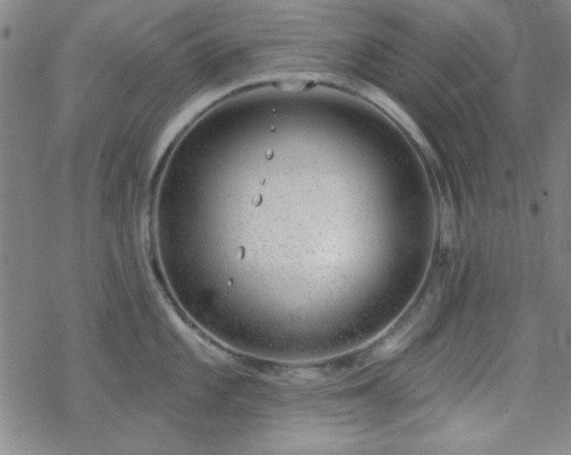 X0000070181101200606021026