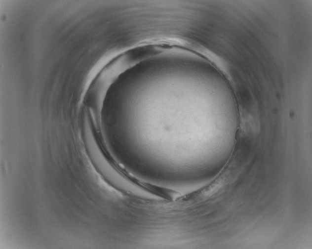 X0000070181102200606021026