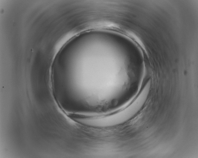 X0000070181103200606021026