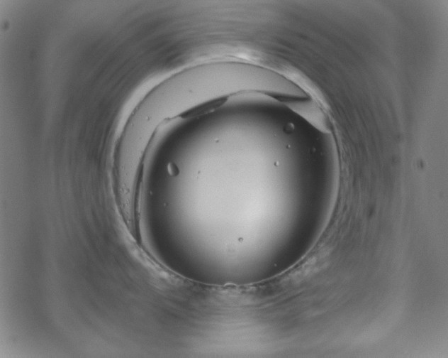 X0000070181104200606021026