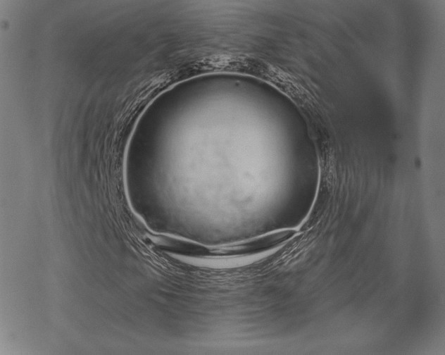 X0000070181105200606021025