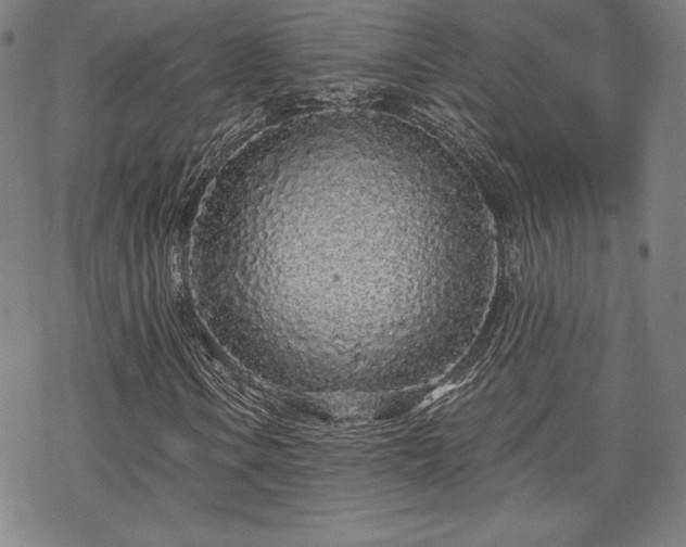 X0000070181106200606021025