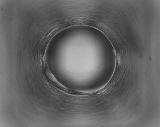 X0000070181107200606021025