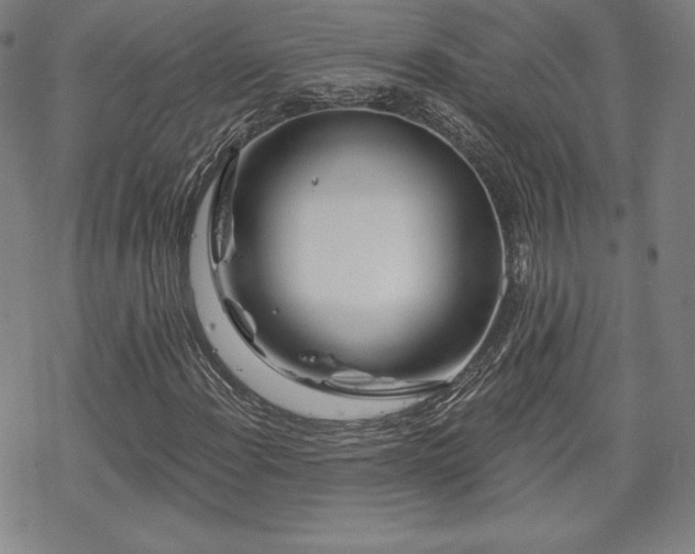 X0000070181108200606021025