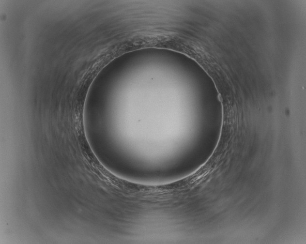 X0000070181109200606021025