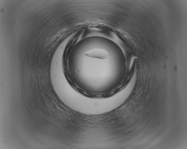 X0000070181110200606021025