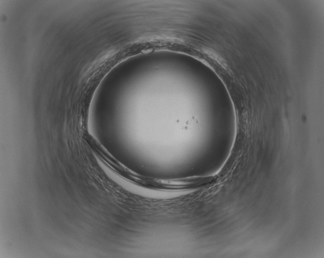 X0000070181111200606021025