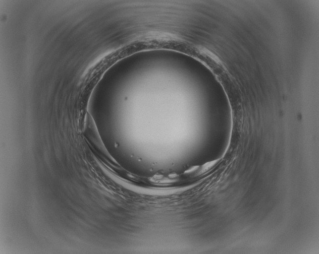 X0000070181112200606021025