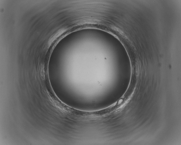 X0000070181113200606021025