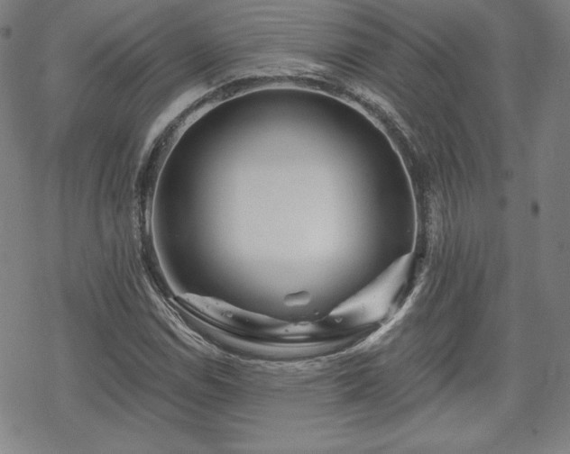 X0000070181114200606021025