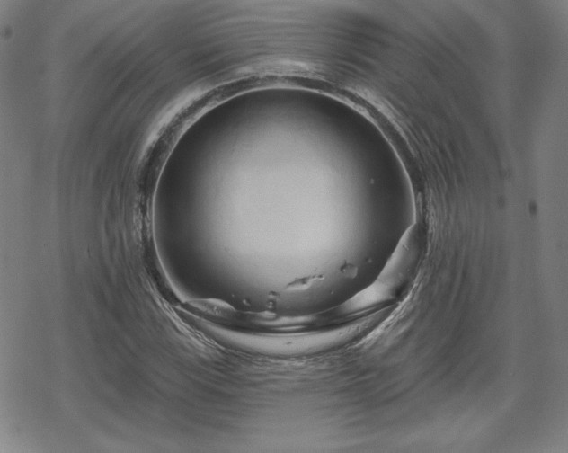 X0000070181115200606021025