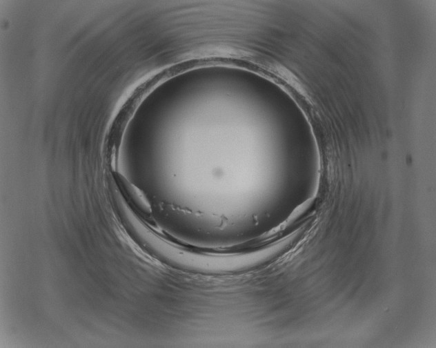 X0000070181116200606021025