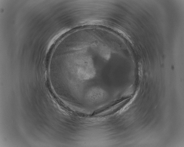 X0000070181117200606021025