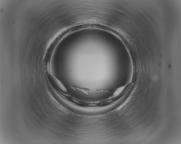 X0000070181118200606021025