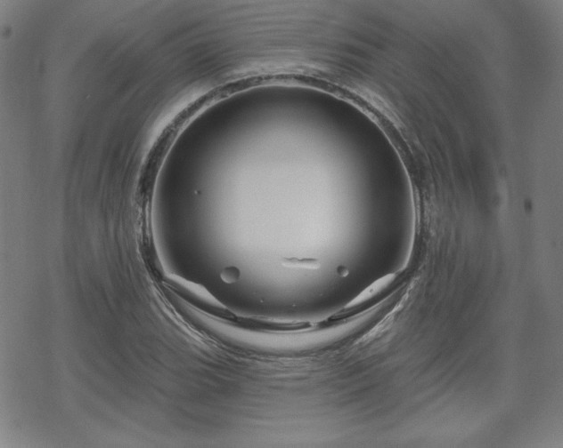 X0000070181119200606021025