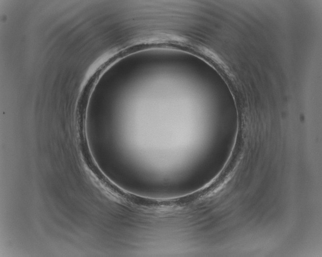 X0000070181122200606021025