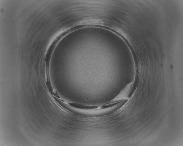 X0000070181123200606021025