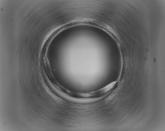 X0000070181124200606021026