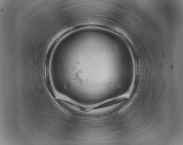 X0000070181125200606021026