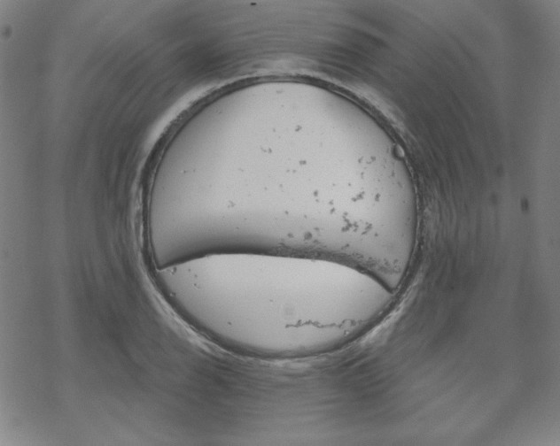 X0000070181126200606021026