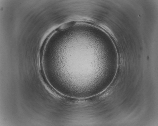 X0000070181128200606021026