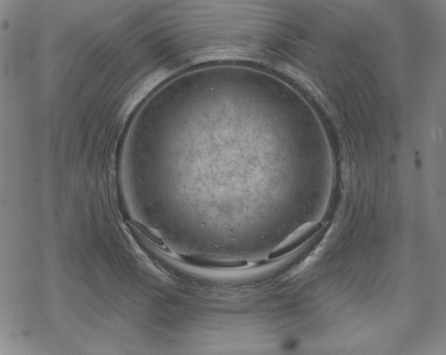 X0000070181129200606021026